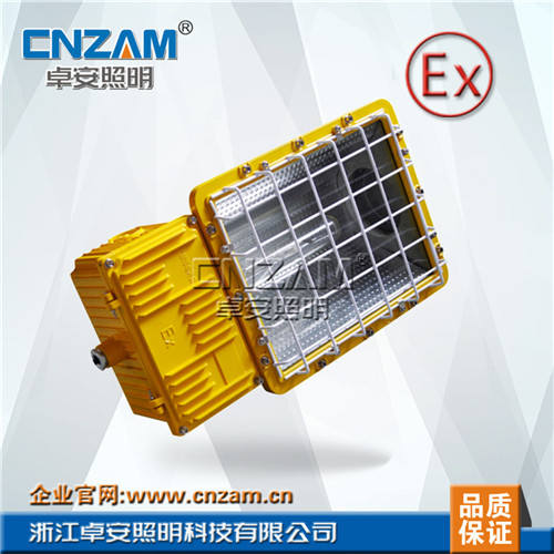 ZBF812(BTC6150)2防爆泛光燈